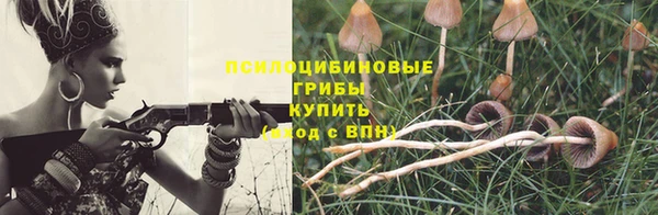 МДПВ Алексин