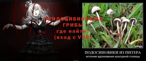 соль ск Алексеевка