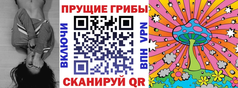 Псилоцибиновые грибы GOLDEN TEACHER Сыктывкар